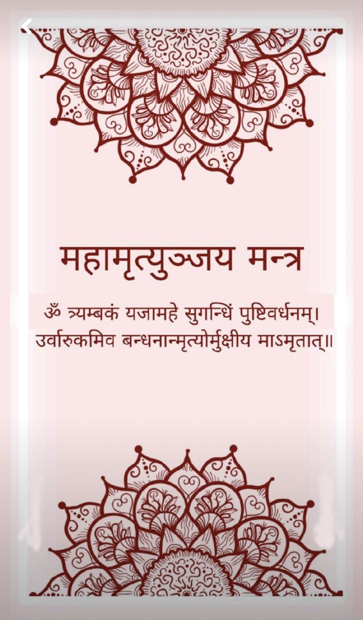 Sacred Mahamritunjay Mantra Wall Decal – Premium Self-Adhesive Vinyl (12 × 24 Inches)